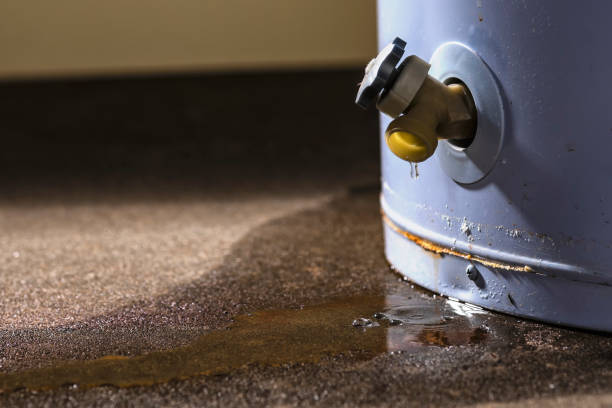 Best Residential water damage restoration  in Cut Bank, MT