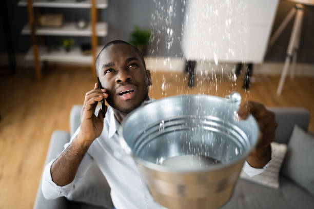 Best Residential water damage restoration  in Cut Bank, MT