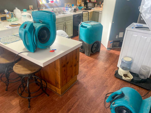 Best Water damage restoration near me  in Cut Bank, MT