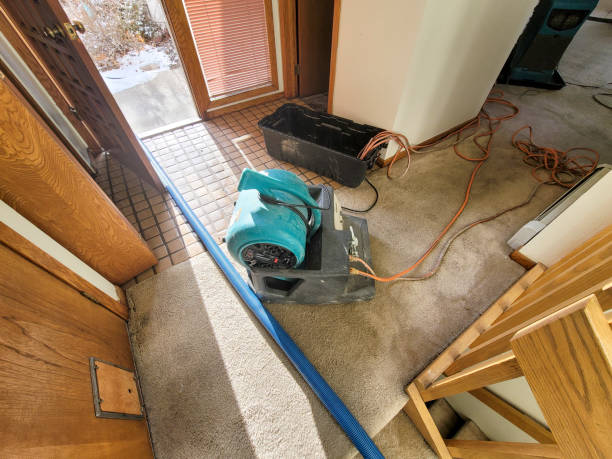 Best Professional water damage repair  in Cut Bank, MT