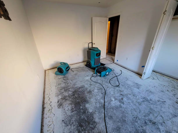 Best Water damage restoration experts  in Cut Bank, MT
