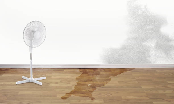 Best Fire Damage Restoration  in Cut Bank, MT