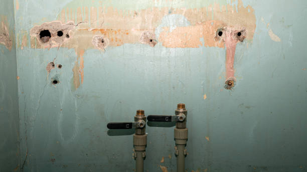 Best Flooded house restoration  in Cut Bank, MT