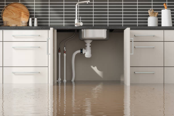 Trusted MT Water damage restoration Experts