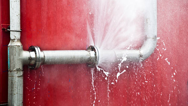 Best Sewage cleanup and water damage restoration  in Cut Bank, MT